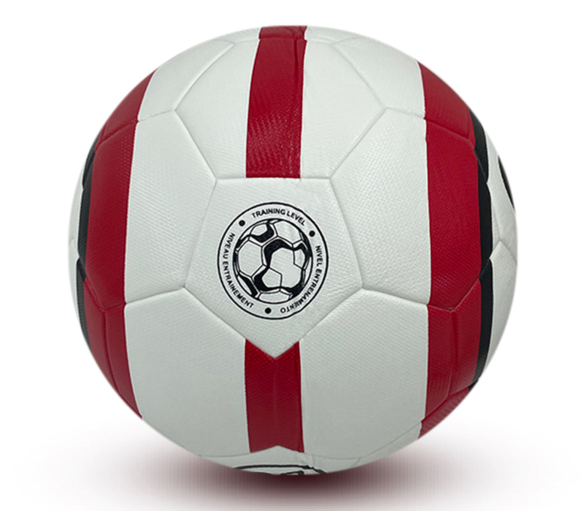 Ballon Nike Premier Ligue Total 90