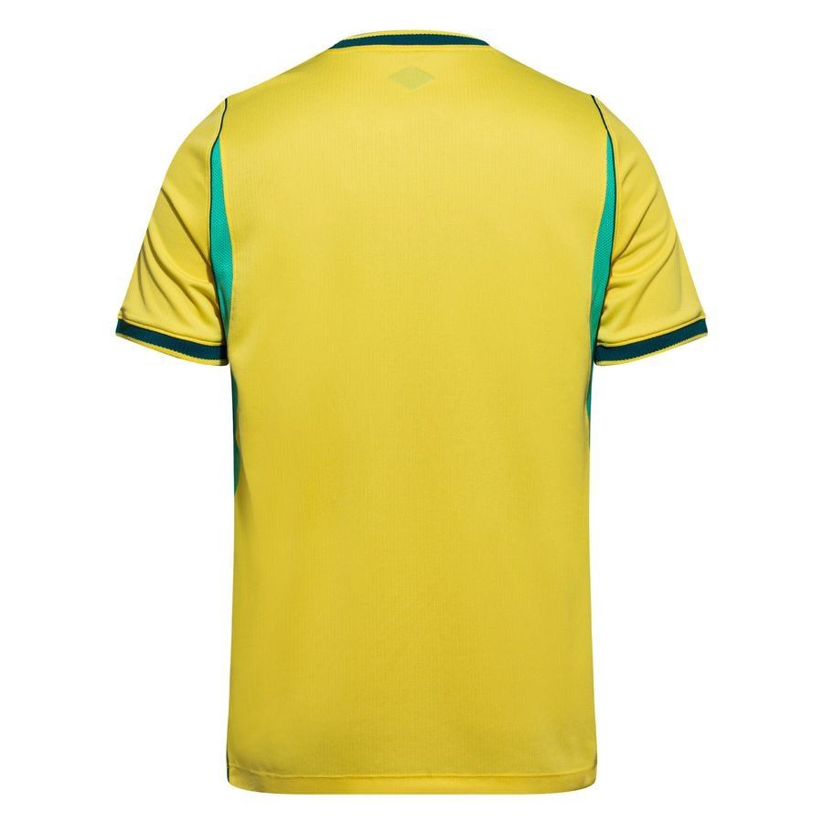 MAILLOT BRÉSIL DOMICILE AÉRO-FIT